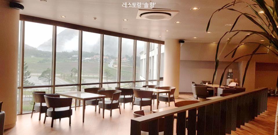 Pine Forest Jeongseon Alpine Resort Dış mekan fotoğraf